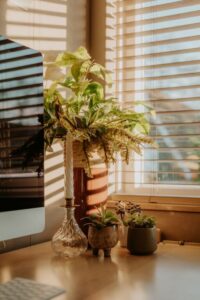 resized_113168